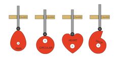 three heart shaped tags hanging from hooks with the words heart, circle and drop on them