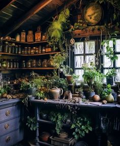 an old fashioned kitchen filled with lots of plants