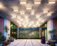 an indoor area with potted plants and lights on the ceiling, along with large windows