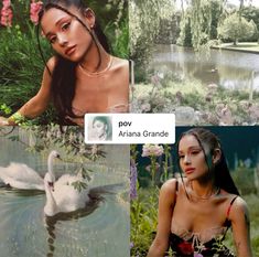 four different pictures with the same woman and swans in them, one is looking at her phone