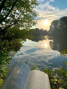 an open book sitting on top of a lush green field next to a body of water