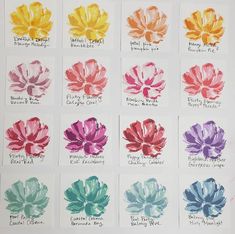 a bunch of different colored flowers on a white surface with words written in each one