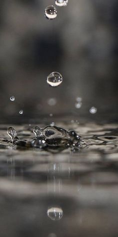 drops of water are seen in this image