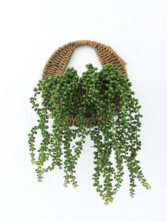 a wicker basket with green plants hanging from it