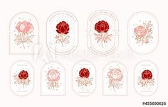 red roses in oval frames with labels on white background, set of twelve floral emblems