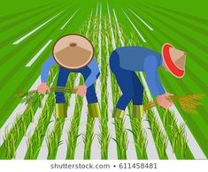 two men are working in the field