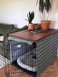 a dog cage with a plant on top of it and a couch in the background