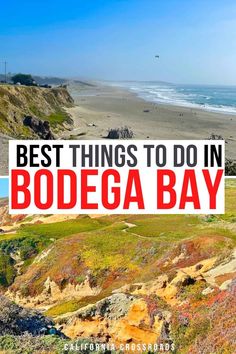 the best things to do in bodega bay, california with text overlay