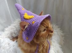 a cat wearing a purple knitted hat with yellow birds on it's side