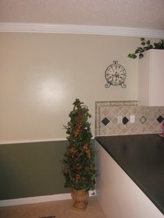 a potted plant next to a kitchen counter with a clock on the wall behind it