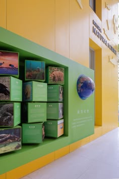 there are many boxes on the wall with animals in them and one is holding an earth globe