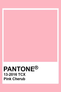 pantone's pink cherub color is shown