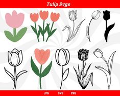 the tulip svg files are available for use on all types of paper crafts