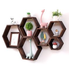 hexagonal shelves are arranged on the wall with plants and other things in them