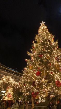 a large christmas tree is lit up at night