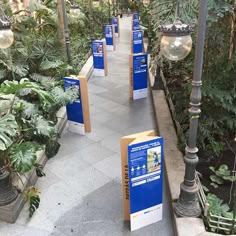 the walkway is lined with lots of plants and street lamps in front of them,