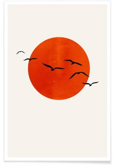 three birds flying in front of an orange sun