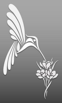 a white bird flying over a flower on a gray background with the words,'hummingbird