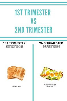 the differences between 1st and 2nd trimesters in toasted bread, which one is better?