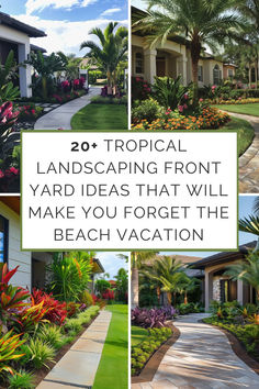 Collage of tropical landscaping ideas for front yards, featuring palm trees, vibrant flowers, and well-designed pathways, ideal for enhancing home exterior aesthetics. Backyard Landscaping Palm Trees, Tropical Home Garden Ideas, Tropical Garden Front Yard, Fl Landscaping Ideas, Landscape Ideas Florida Front Yard, Tropical Front Garden Ideas, Tropical Shrubs Landscape, Colorful Florida Landscaping, Landscape With Palm Trees Front Yard