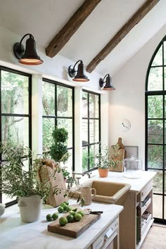 a kitchen with lots of windows and plants on the counter