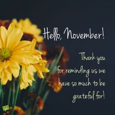 yellow flowers are in a vase with the words hello november on it, thank you for remaining us we have so much to be grateful