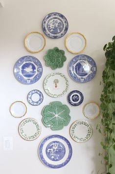 a bunch of plates that are hanging on the wall next to a potted plant