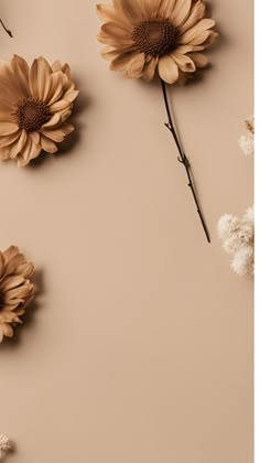 three dried flowers on a beige background