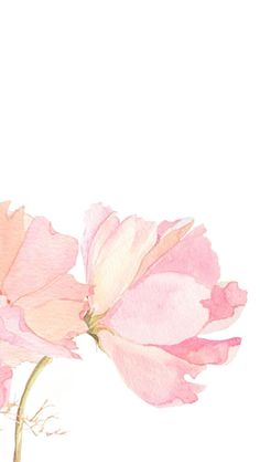 two pink flowers on a white background with watercolors and pastel pencils