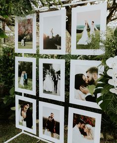 several pictures are hanging on a wall in front of some trees and flowers with white orchids