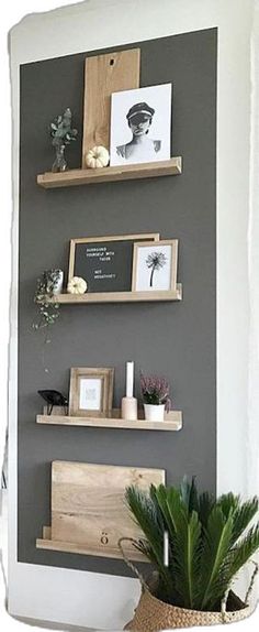 some shelves with pictures on them and plants in a potted planter next to the wall