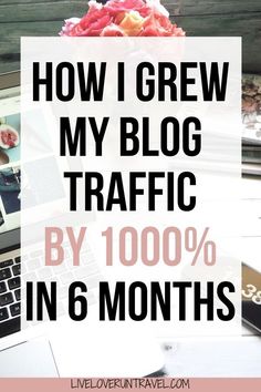 the words how i grew my blog traffic by 100 % in 6 months on top of a laptop