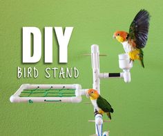 two birds sitting on top of a bird stand with the words diy in front of them