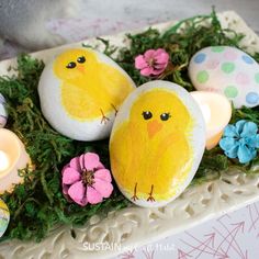 painted eggs with chicks and flowers in them on a tray next to a lit candle