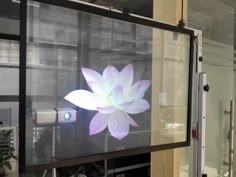 a large screen with a flower on it in front of a wall mounted television set