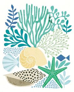 an ocean scene with starfish, corals and other marine life on white paper