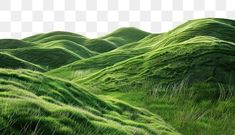 some green hills with grass on them