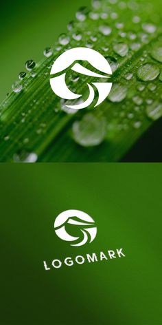 the logo for a company with water droplets on it's green leaves and drops