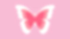 a pink background with a butterfly on the top and bottom half of it's wings