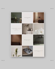 an image of a brochure with many different things in it, including flowers and furniture