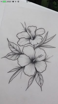 a pencil drawing of flowers on paper