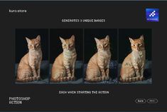 four different pictures of cats sitting in front of each other on a black background with the words photoshop action above them