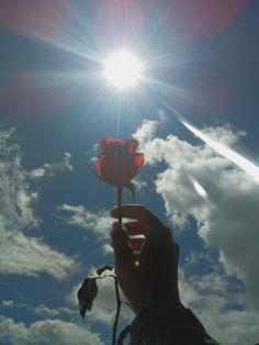 a person holding up a flower in front of the sun on a clear day with clouds