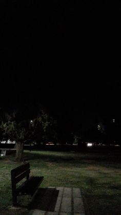 a park bench sitting in the grass at night