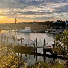 the boats are docked at the dock on the water near some trees and bushes in the foreground