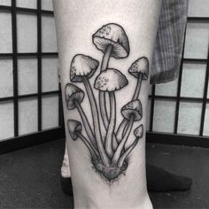 a black and white photo of mushrooms on the leg