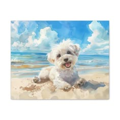 a white dog laying on top of a sandy beach under a blue sky with clouds