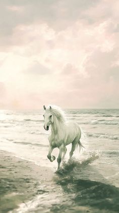 a white horse running on the beach in front of the ocean with waves and clouds