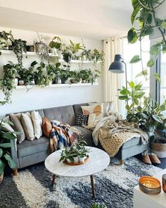 a living room filled with lots of plants