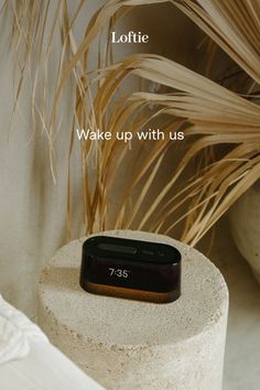 a cell phone sitting on top of a cement block next to a potted plant